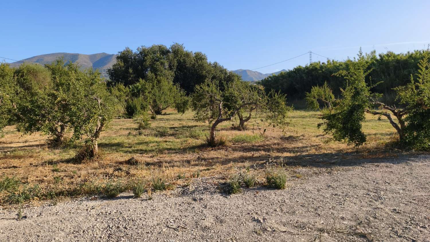 Parcela en venta en Cártama