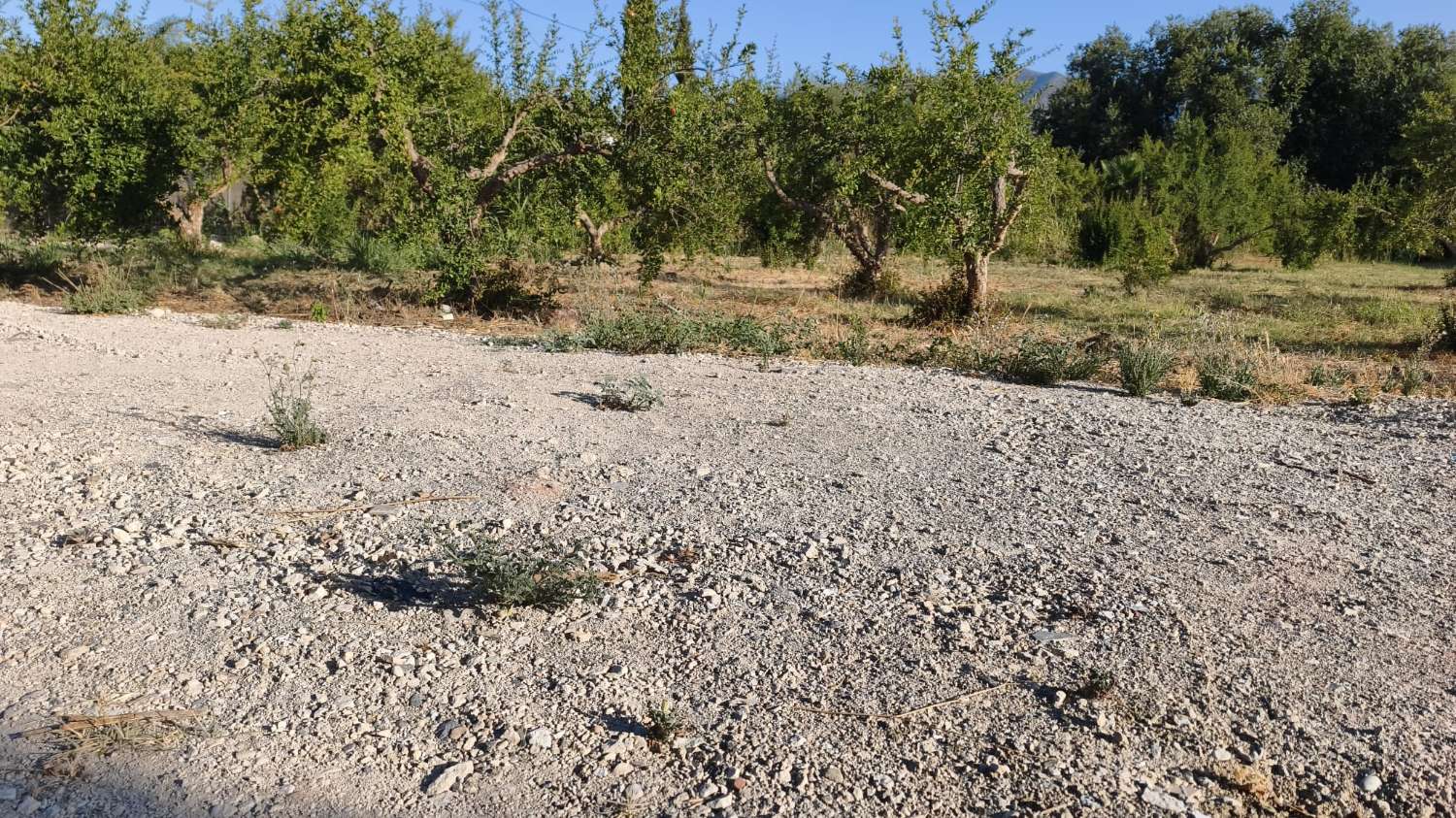 Parcela en venta en Cártama
