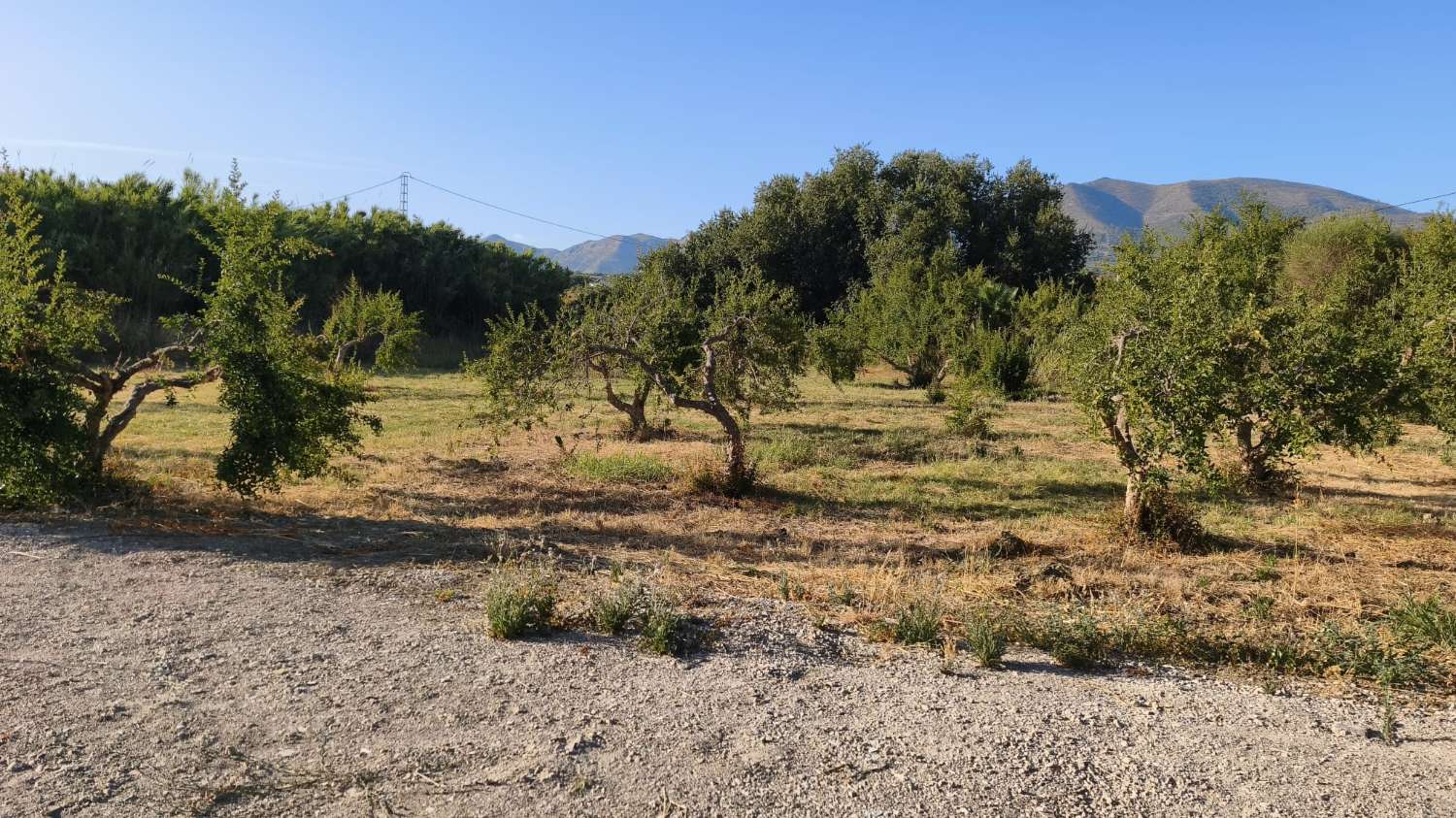 Parcela en venta en Cártama