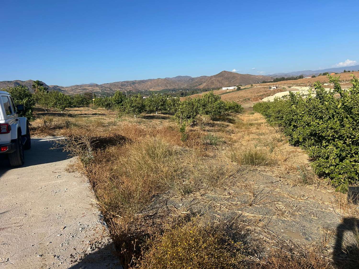 Parcela en venta en Cártama