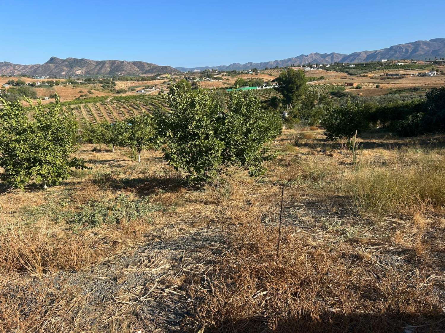 Parcela en venta en Cártama