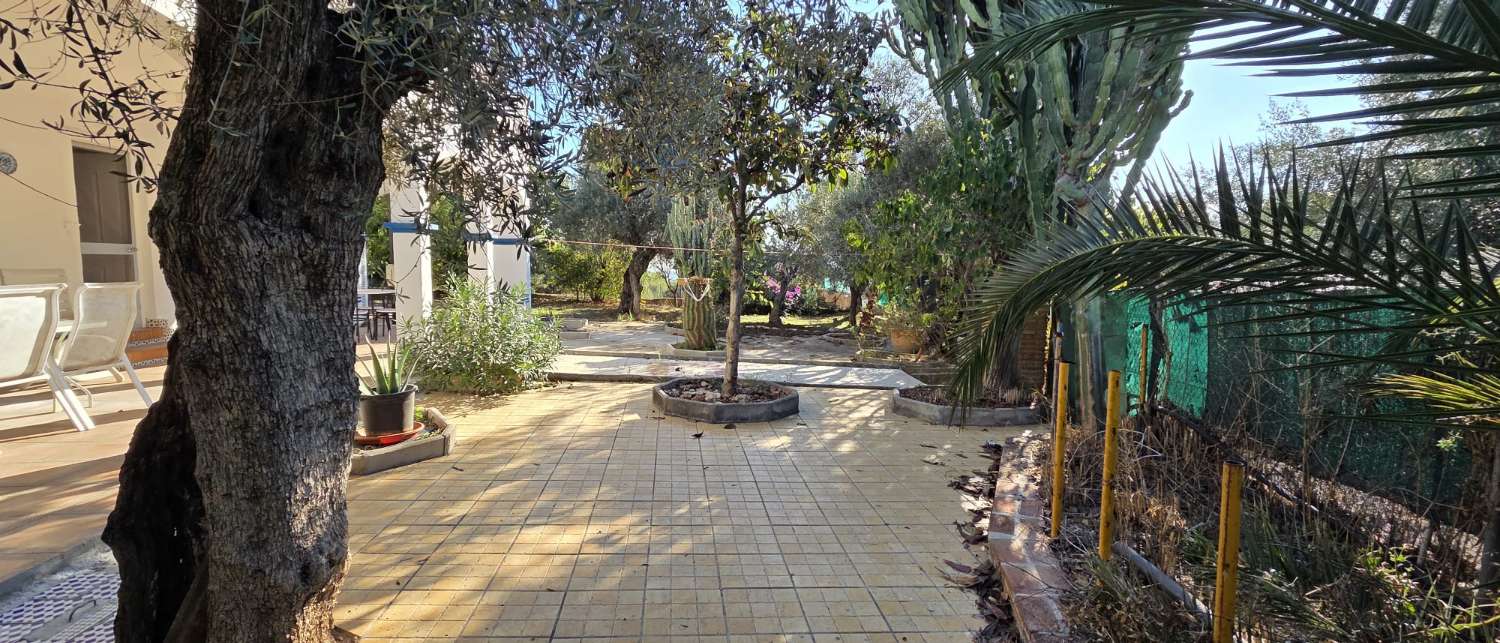 Villa for rent in Alhaurín de la Torre