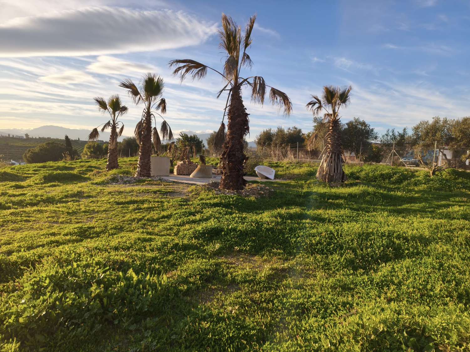 Finca en venta en Estación de Cártama
