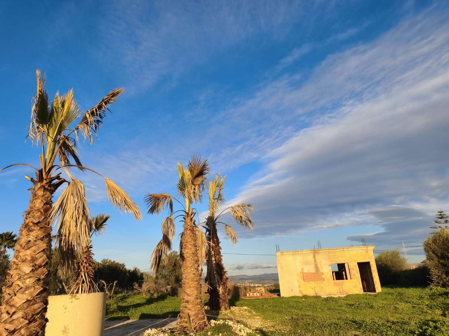 Finca en venta en Estación de Cártama