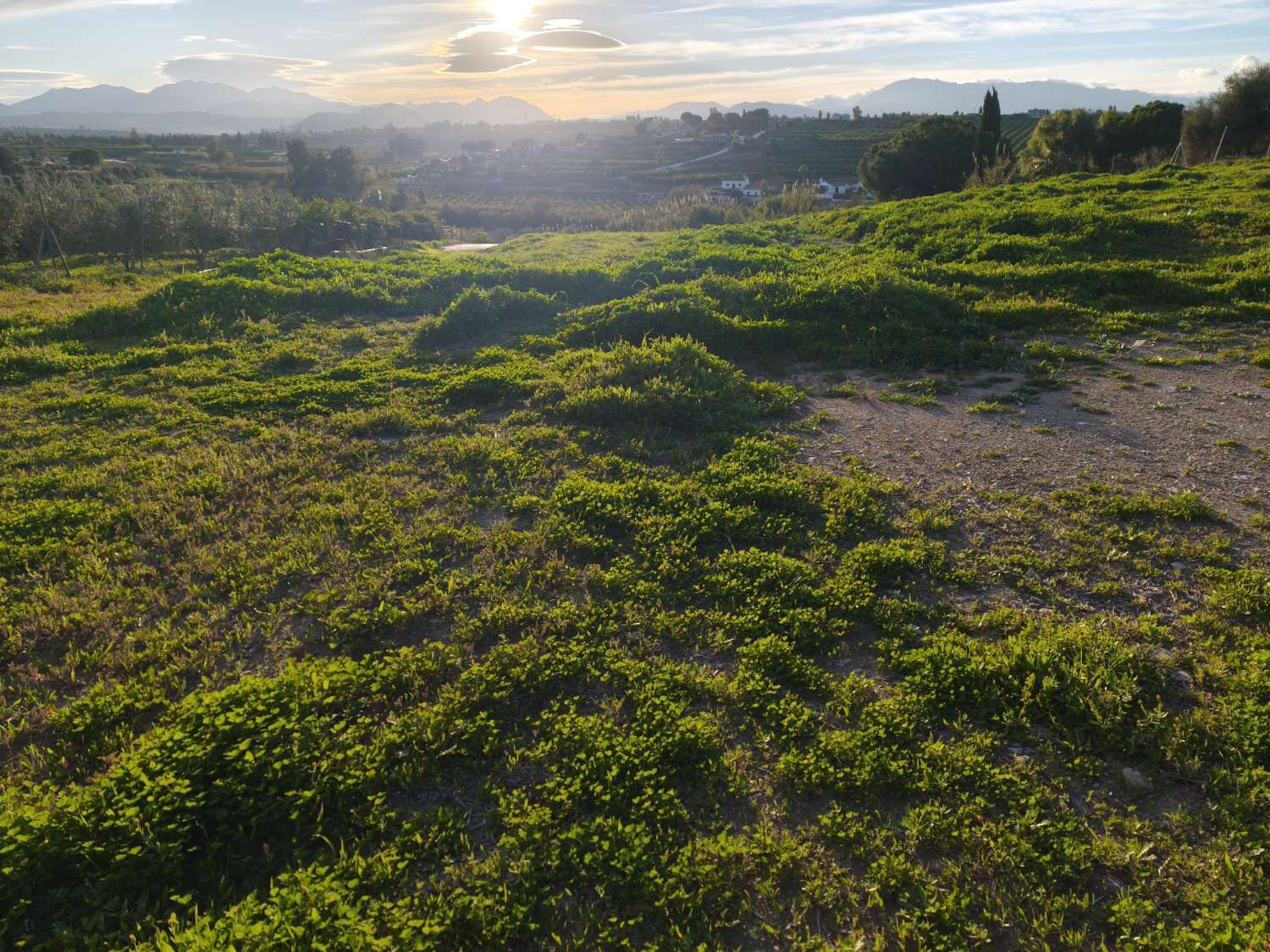 Finca en venta en Estación de Cártama