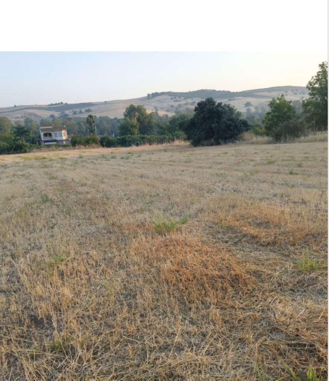 Finca en venta en Coín