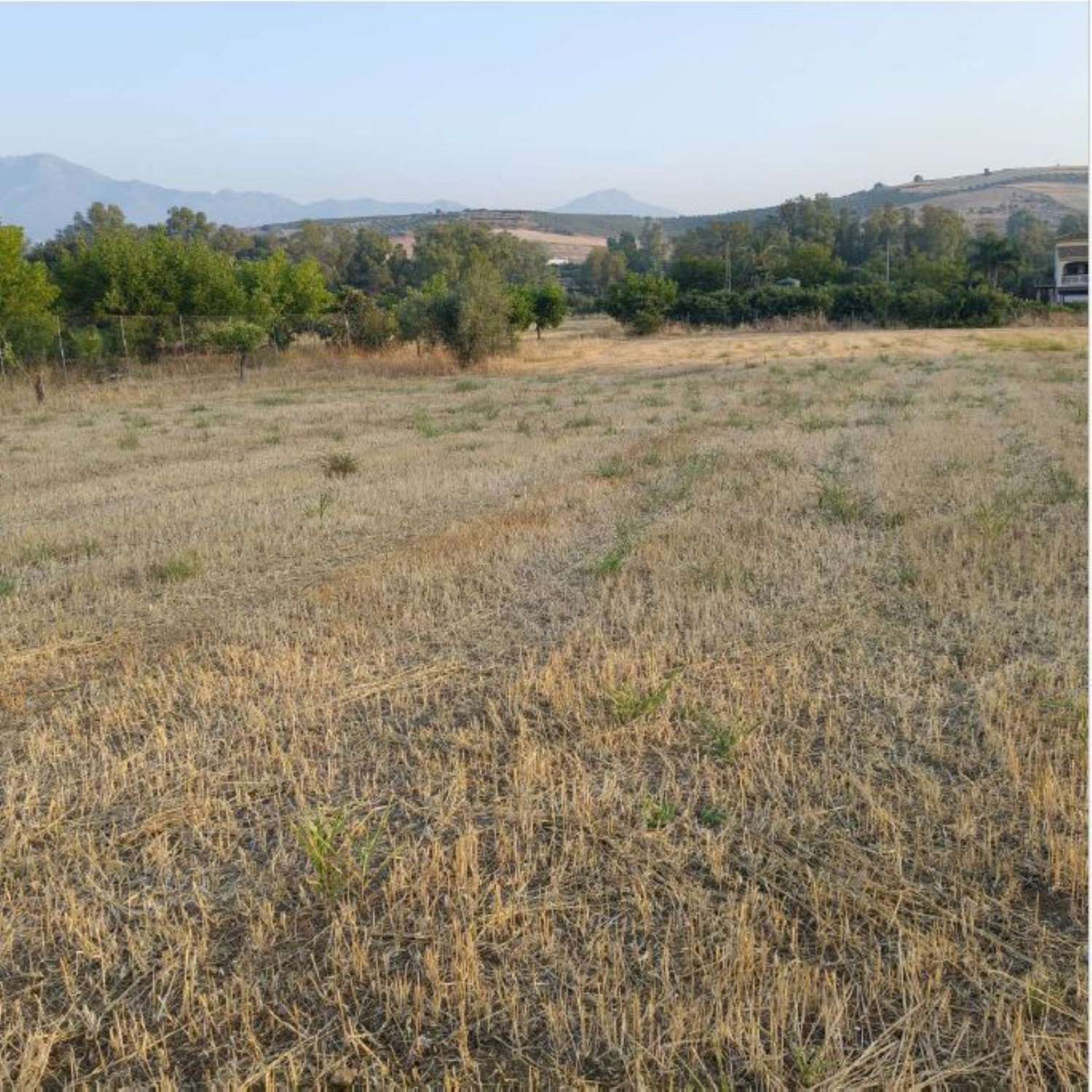 Finca en venta en Coín