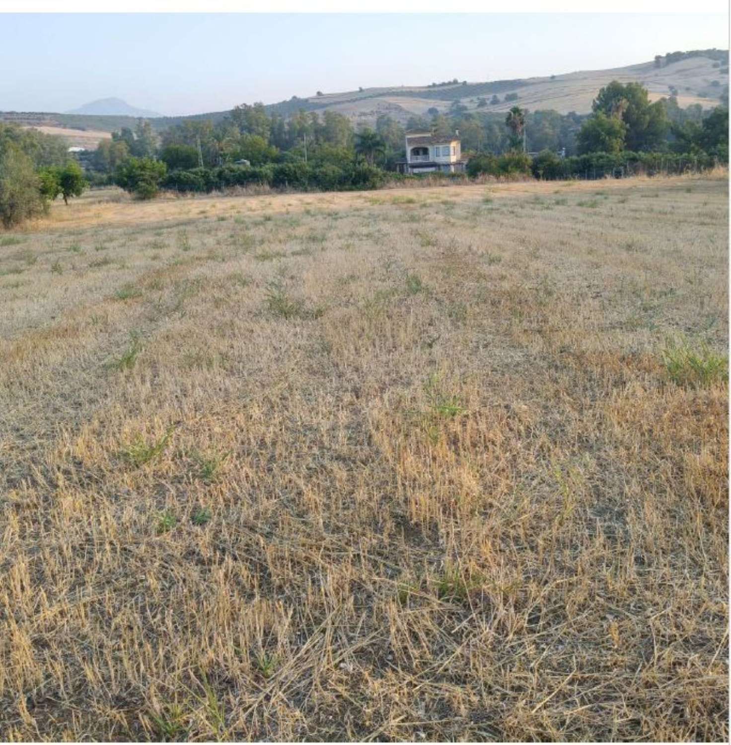 Finca en venta en Coín