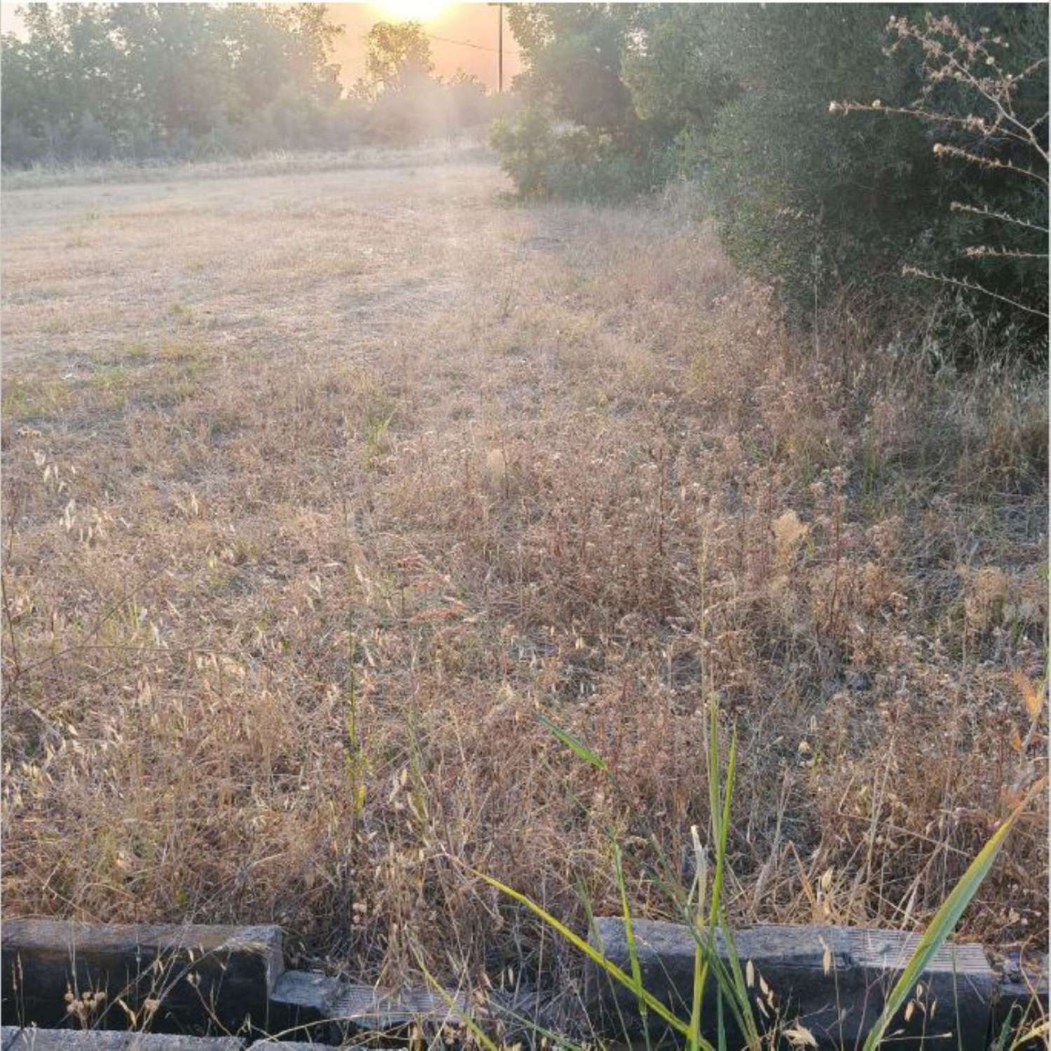 Finca en venta en Coín
