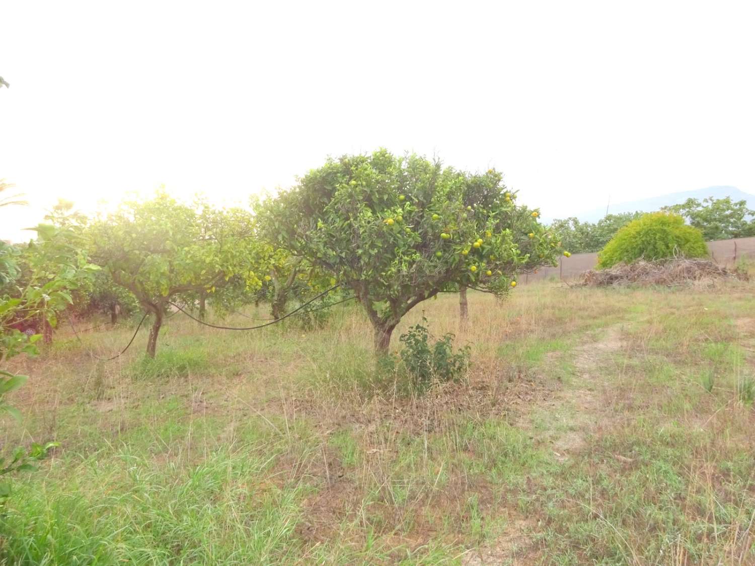Villa en venta en Alhaurín de la Torre