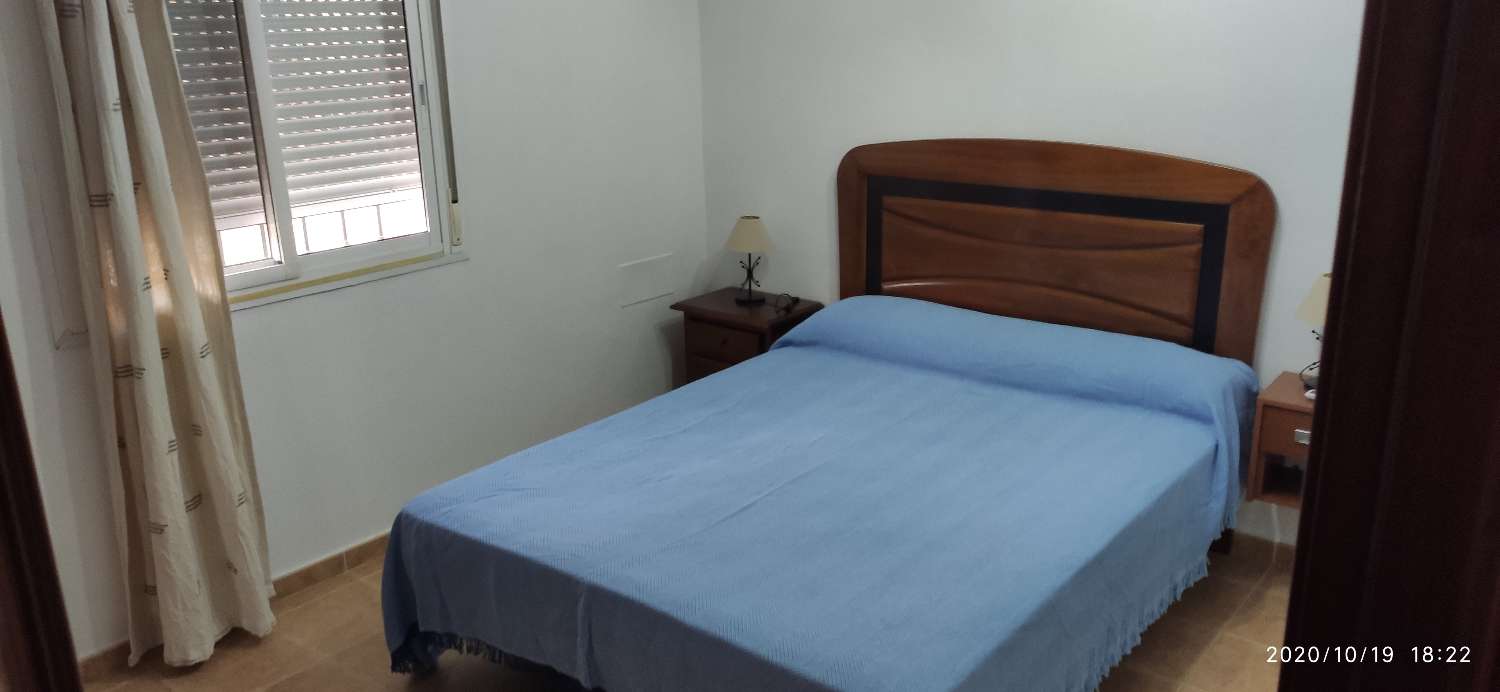 AVAILABLE SEPTEMBER 1, 2020