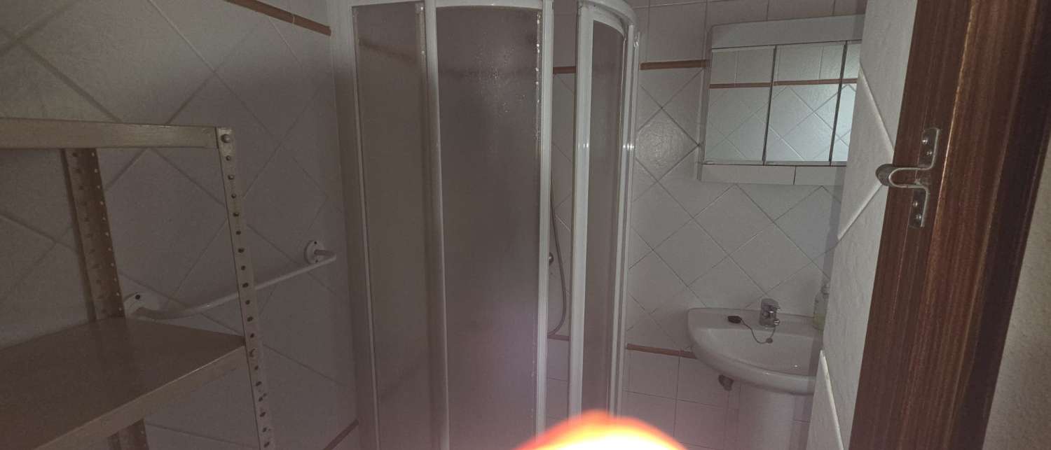 AVAILABLE SEPTEMBER 1, 2020