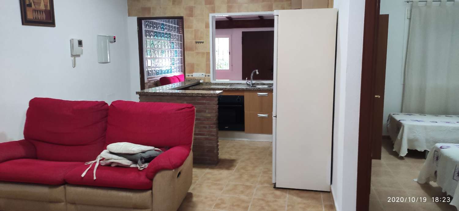 AVAILABLE SEPTEMBER 1, 2020