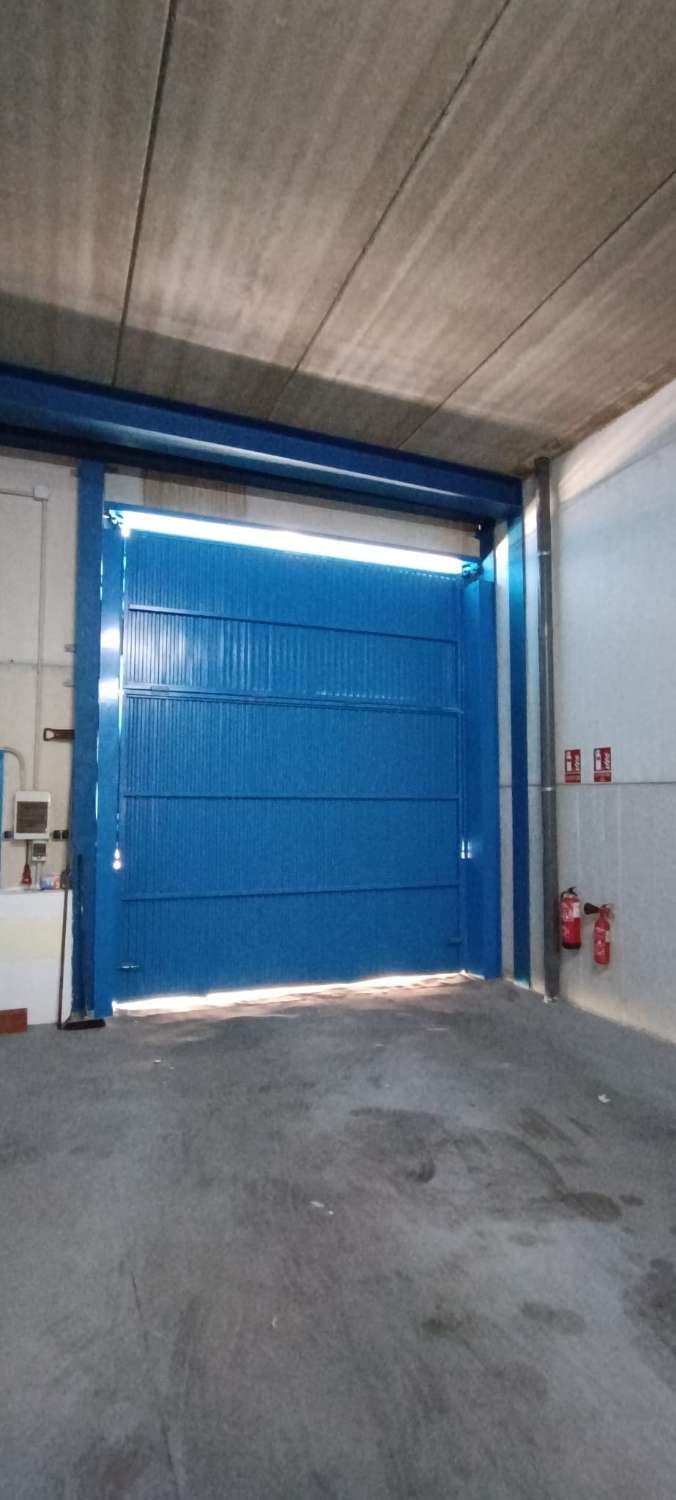 Halle zur miete in Alhaurín de la Torre
