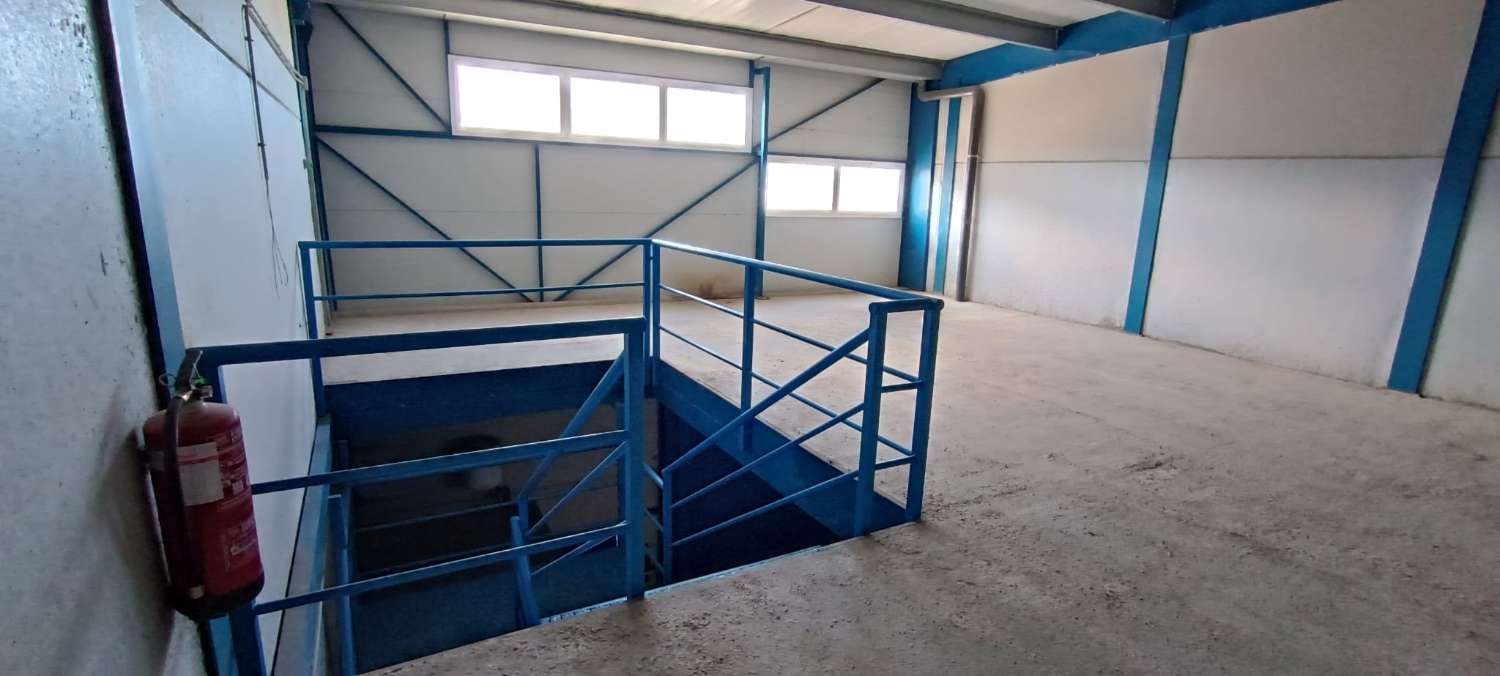 Halle zur miete in Alhaurín de la Torre