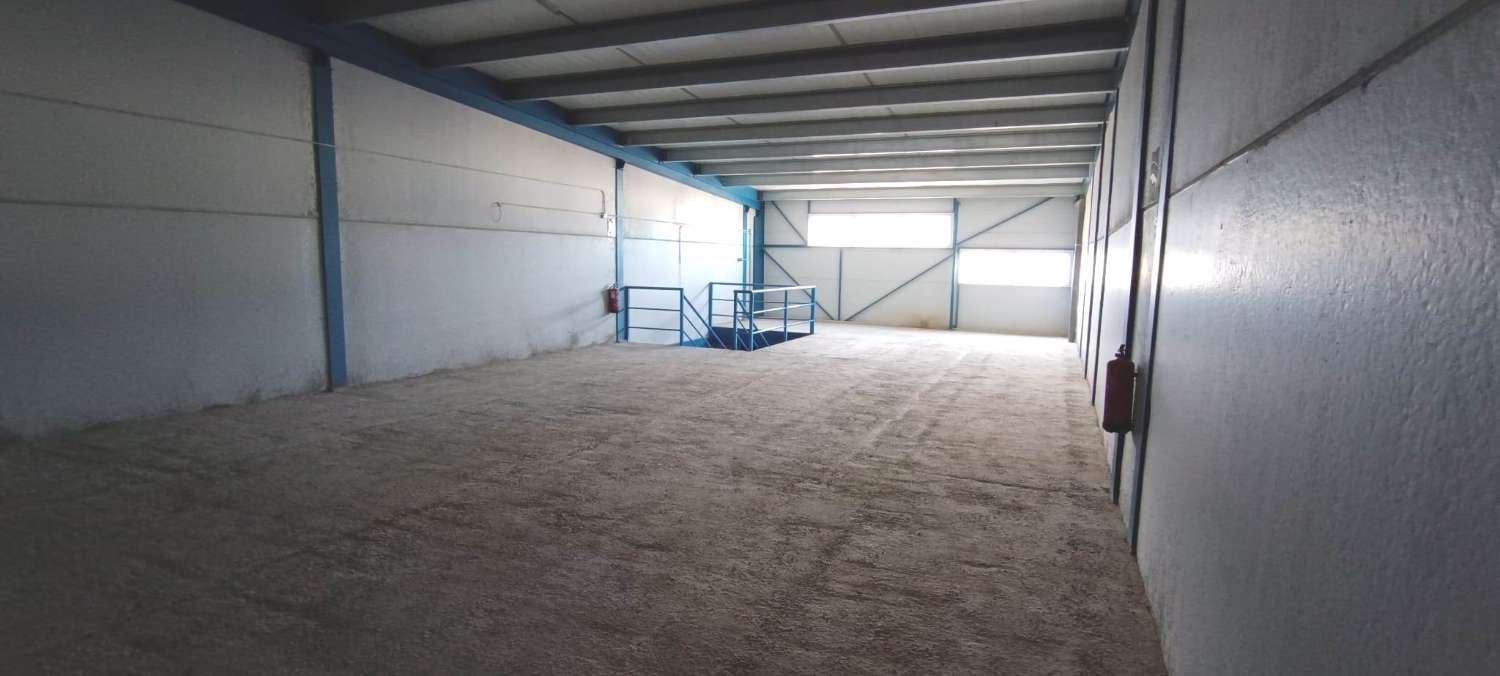 Halle zur miete in Alhaurín de la Torre