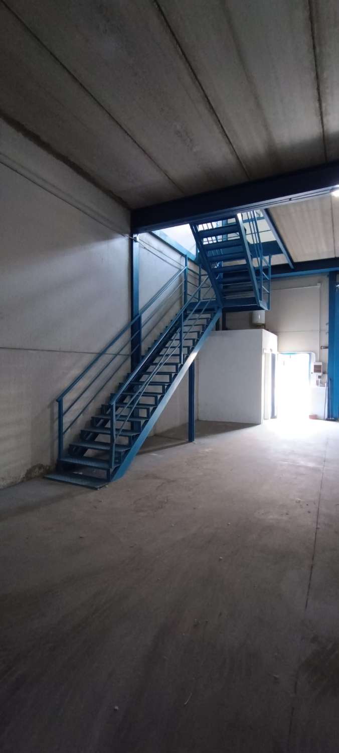 Halle zur miete in Alhaurín de la Torre