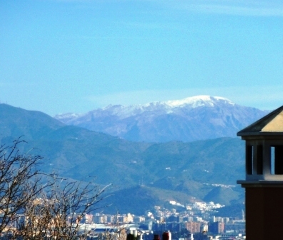 Villa en venta en Alhaurín de la Torre