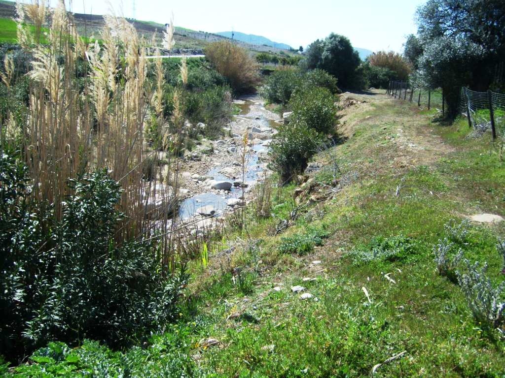 Finca en venta en Álora