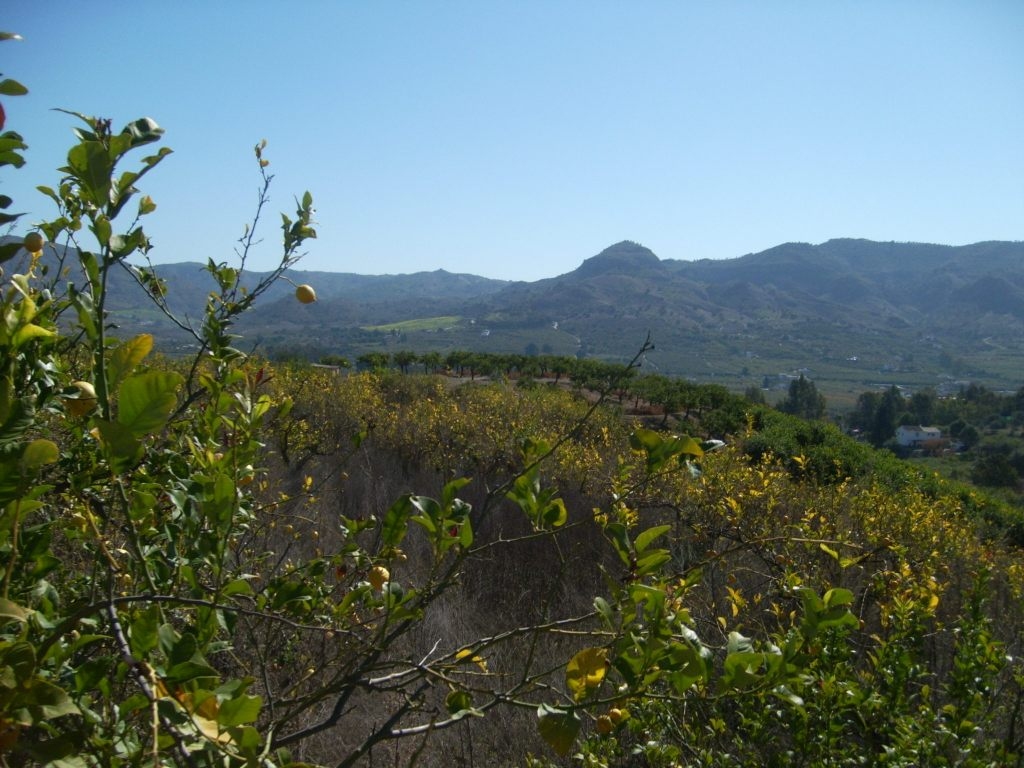 Plot for sale in Álora