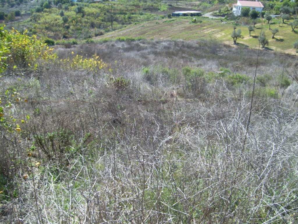 Plot for sale in Álora