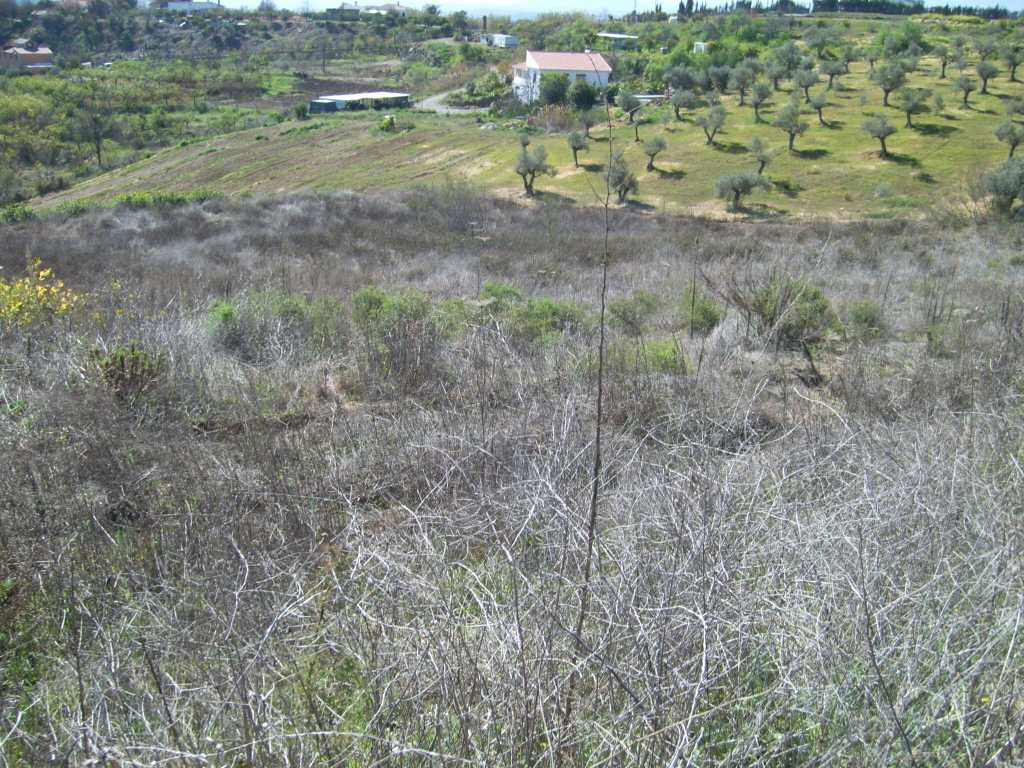FINCA PARCELA ALORA MALAGA
