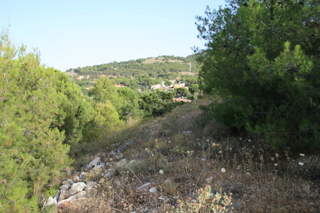Parcela en venta en Alhaurín de la Torre