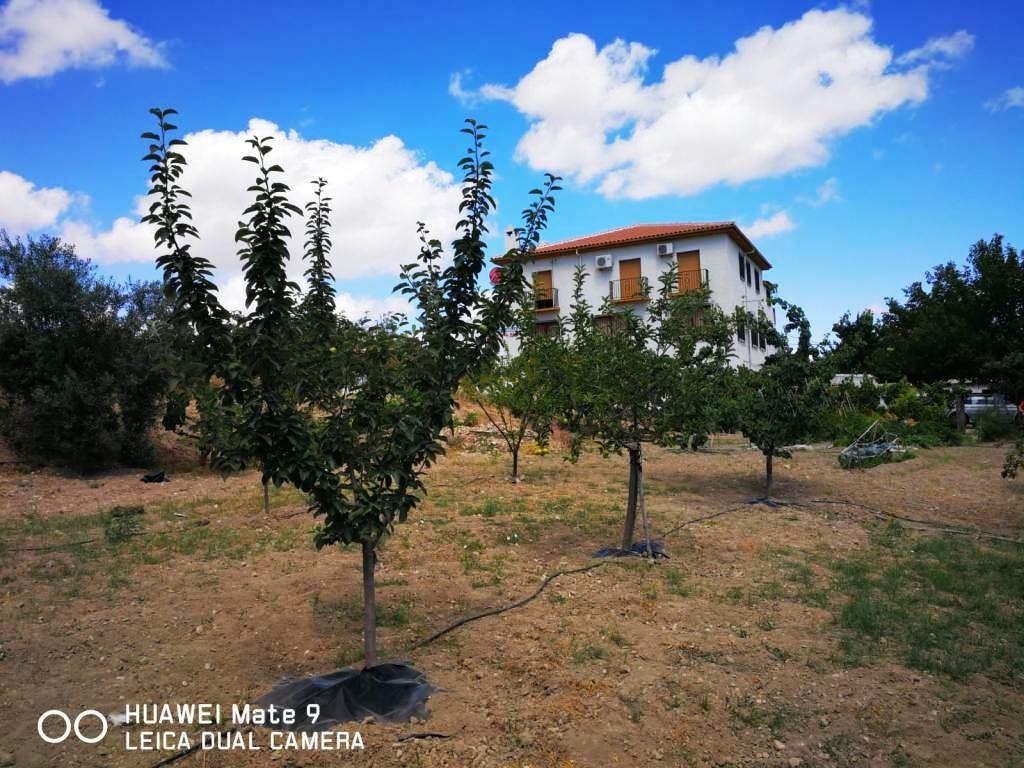 Edificio en venta en Loja