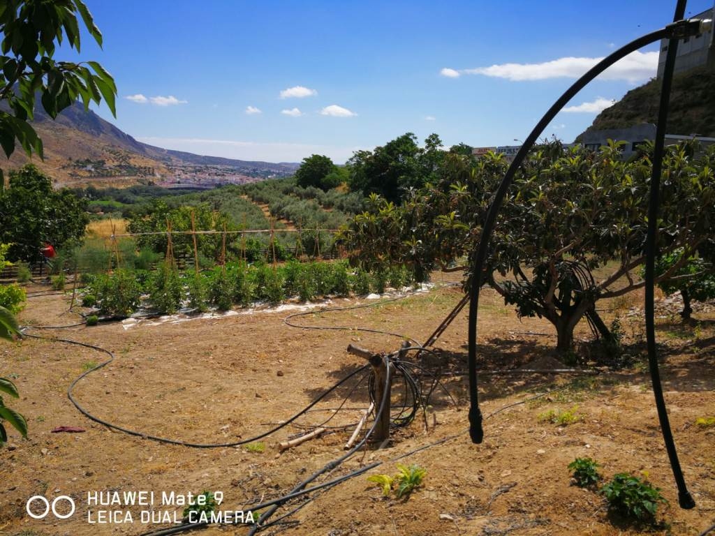 Bâtiment en vente à Loja