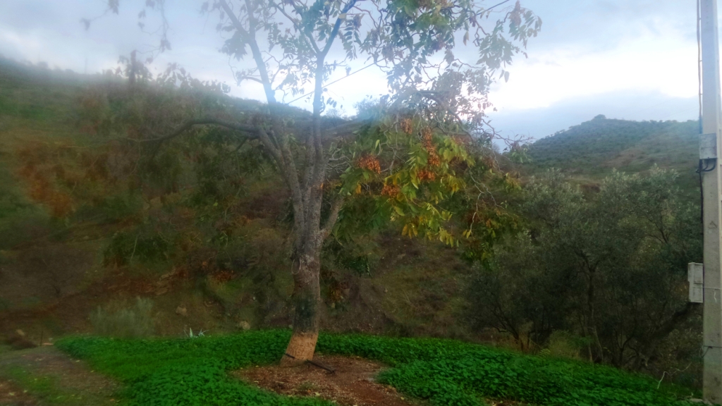 Country Property en venda in Álora