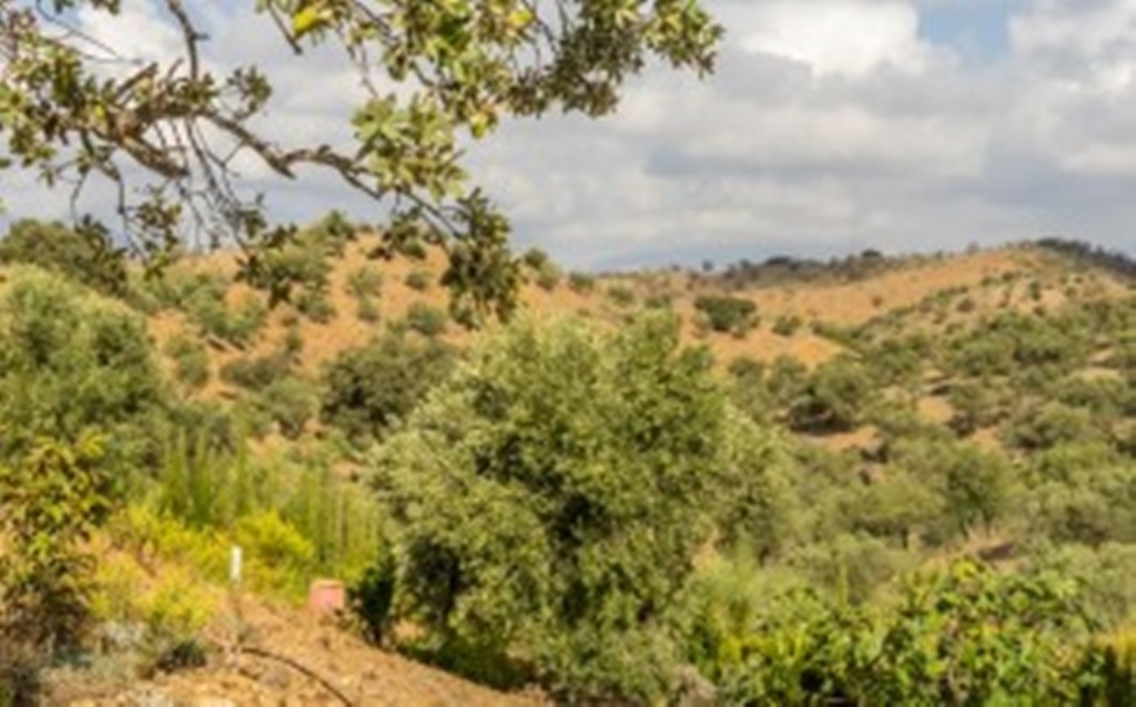 Finca en venta en Álora