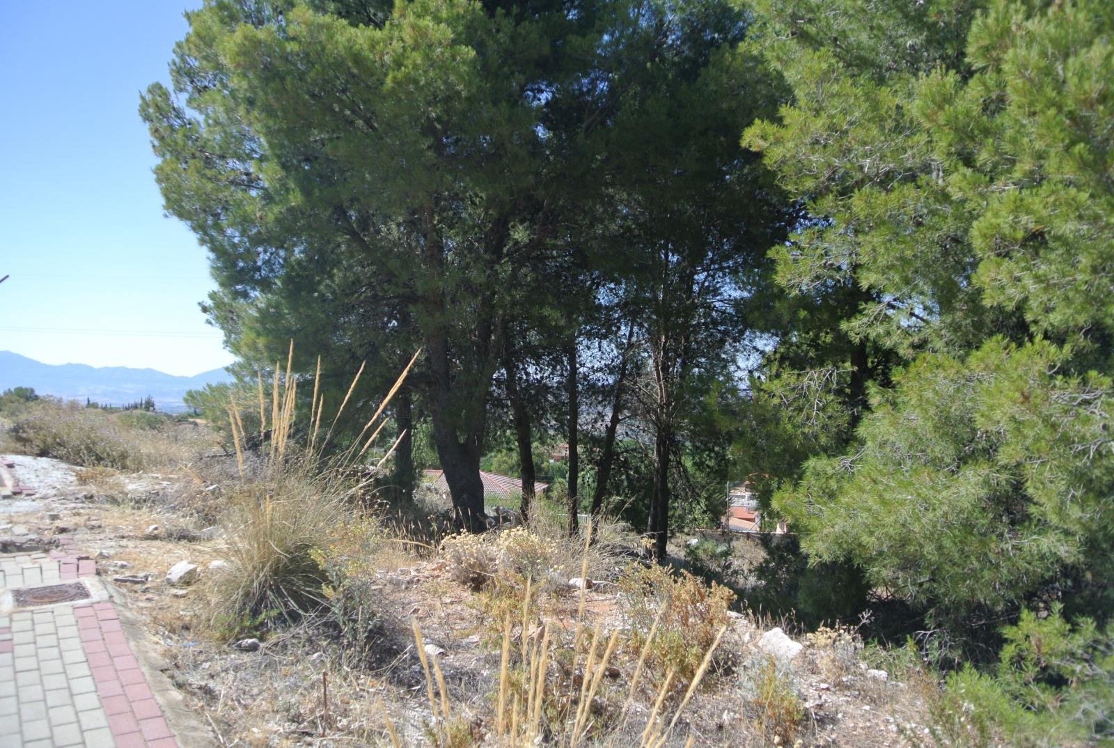 Terrain-à-bâtir en vente à Alhaurín de la Torre