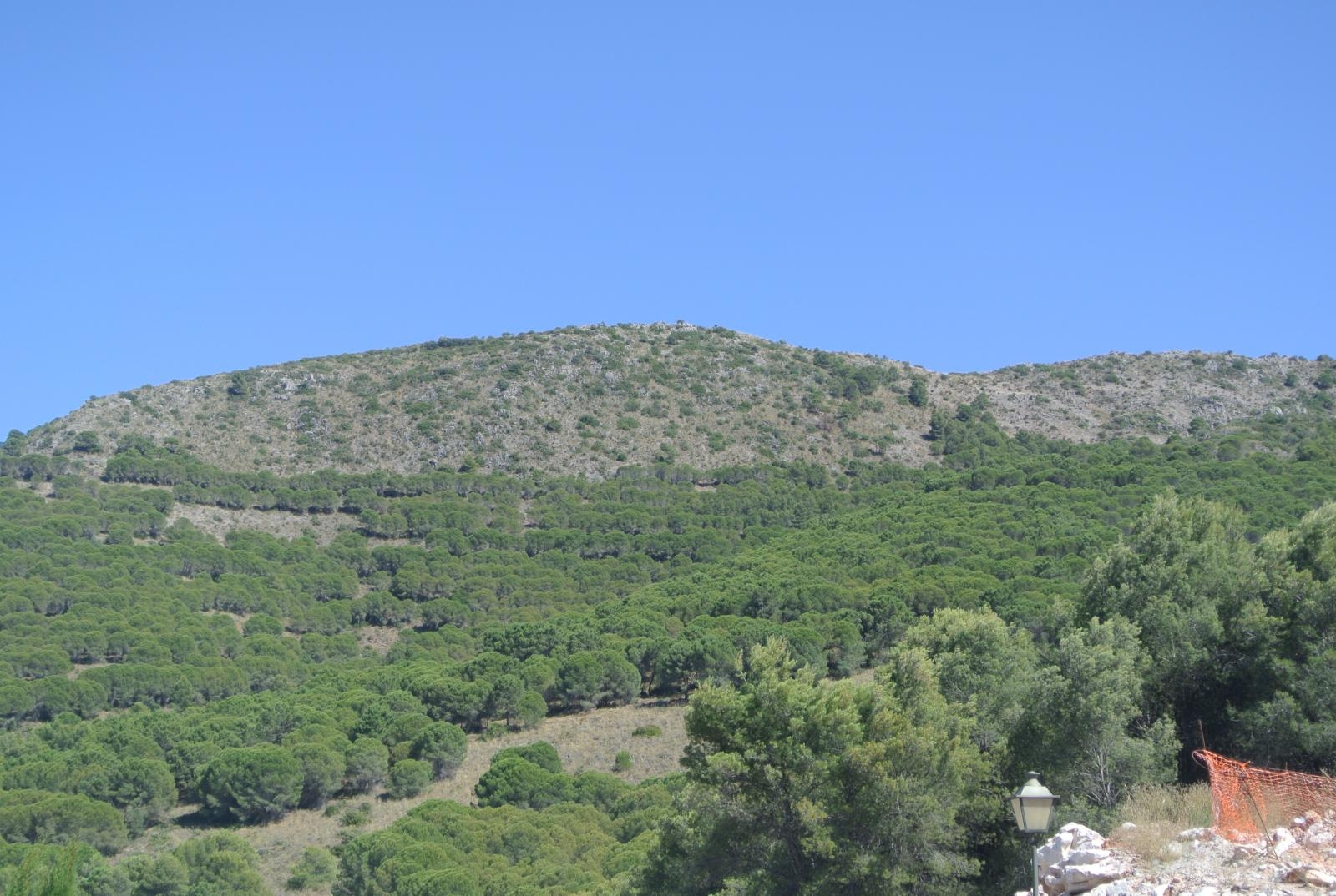 Terrain-à-bâtir en vente à Alhaurín de la Torre