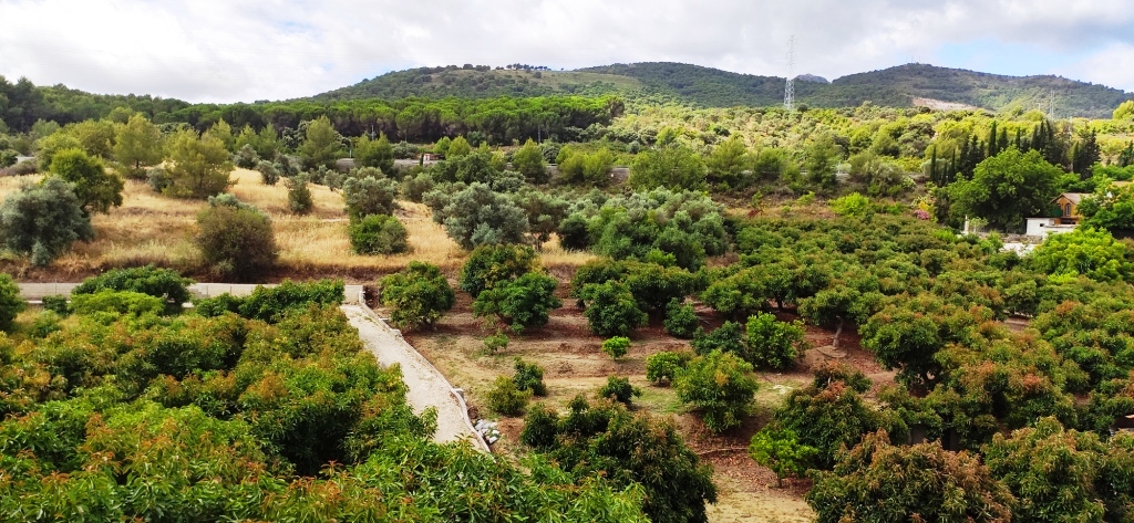 Villa en venta en Coín