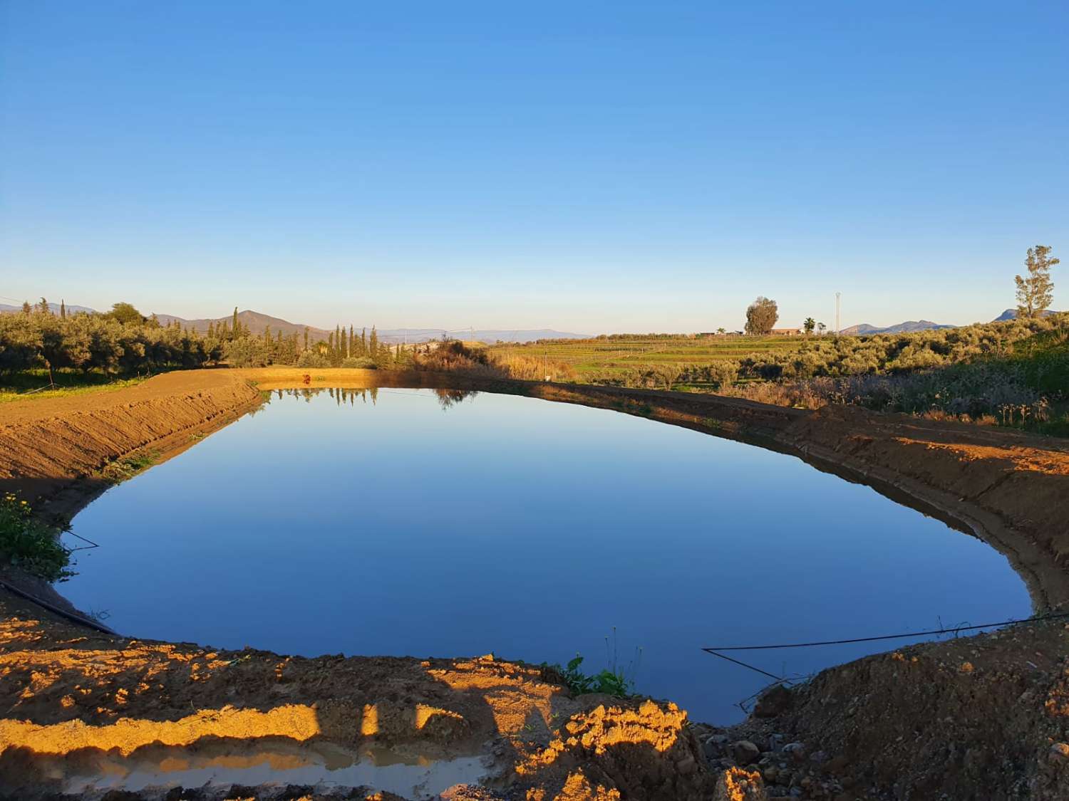 Finca en venta en Cártama