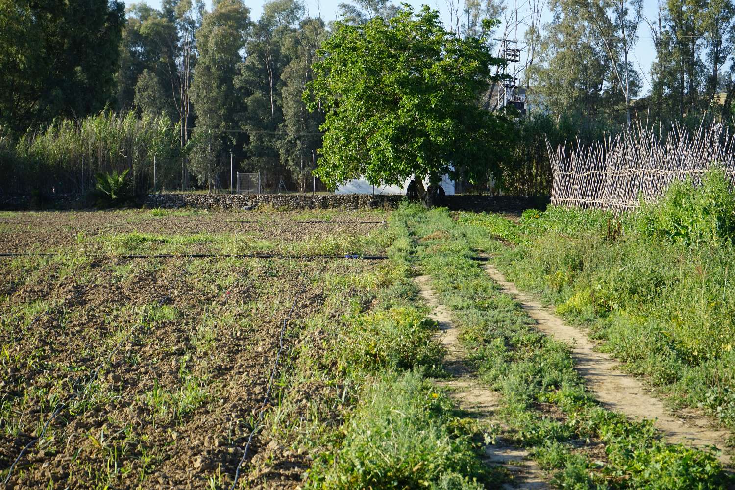 Plot en venda in Cártama