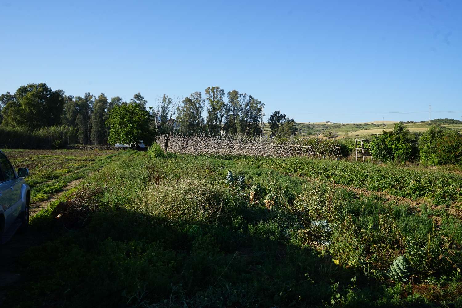 Parcelle en vente à Cártama