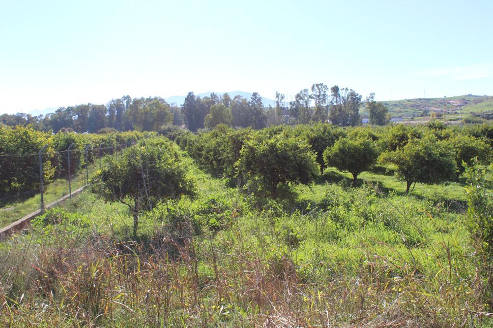 Plot en venda in Cártama