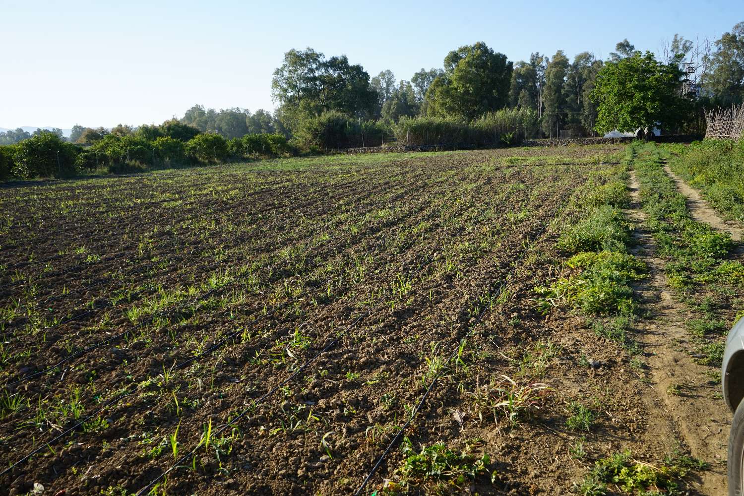 Plot en venda in Cártama