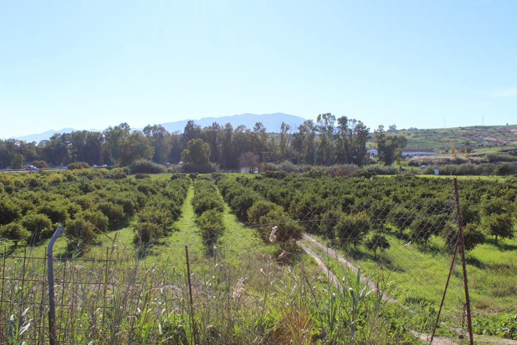 Plot en venda in Cártama